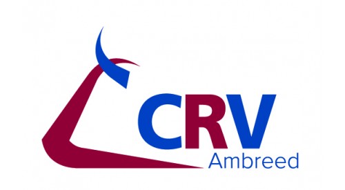 CRV Ambreed CMYK high res